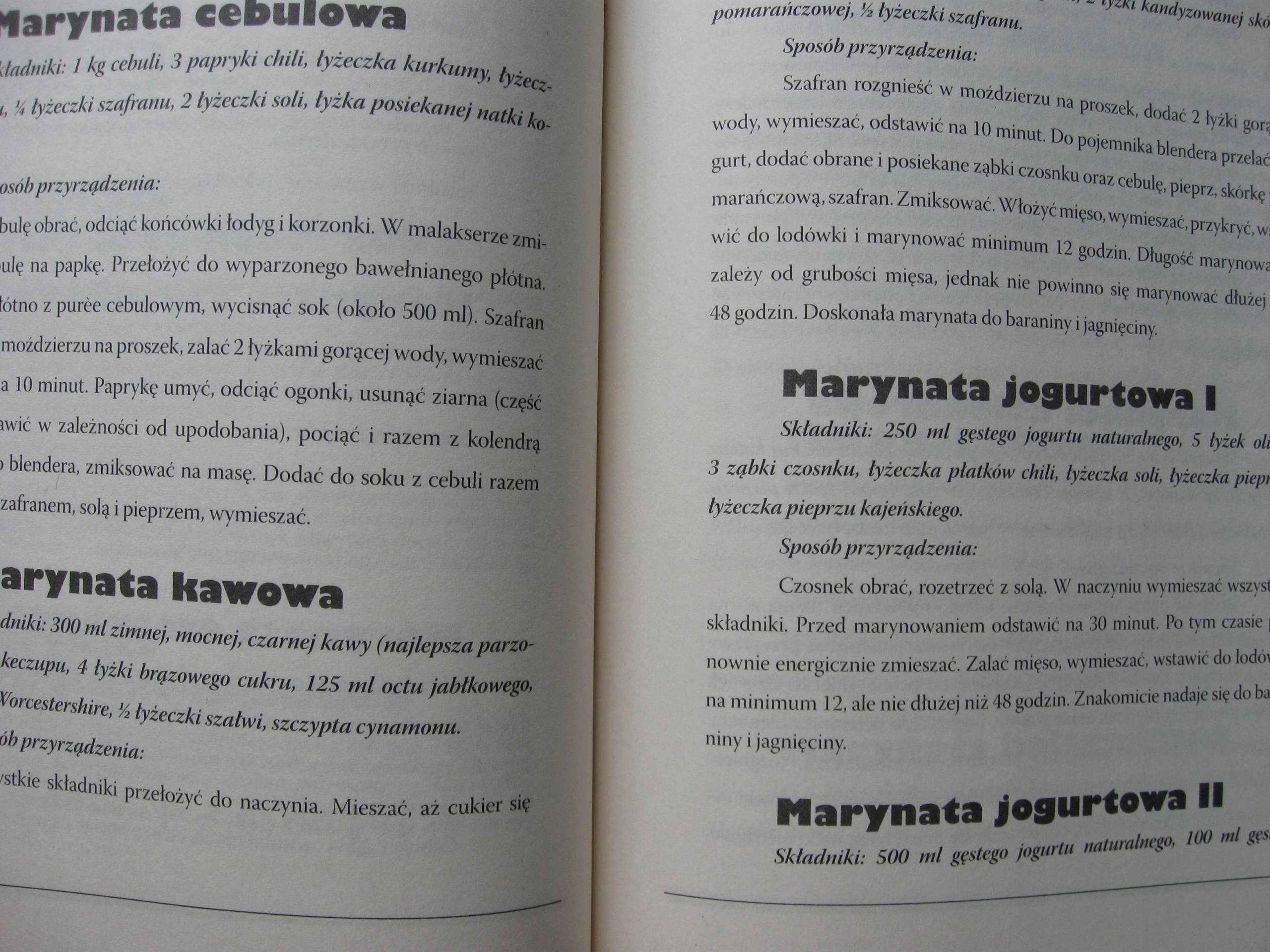 Domowy Wyrób Barbecue GRILL mięsa receptury, marynaty, sosy dodatki, Trojan Nośnik książka papierowa