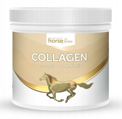 Suplement HorseLinePro Kolagen dla koni 0,3kg 300g