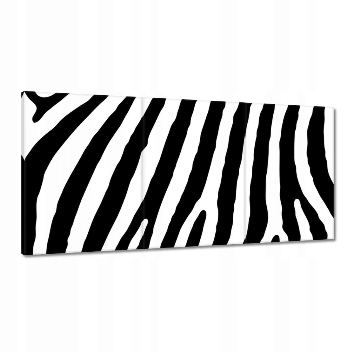 Obrazy 180x90 Zebra Pruhy