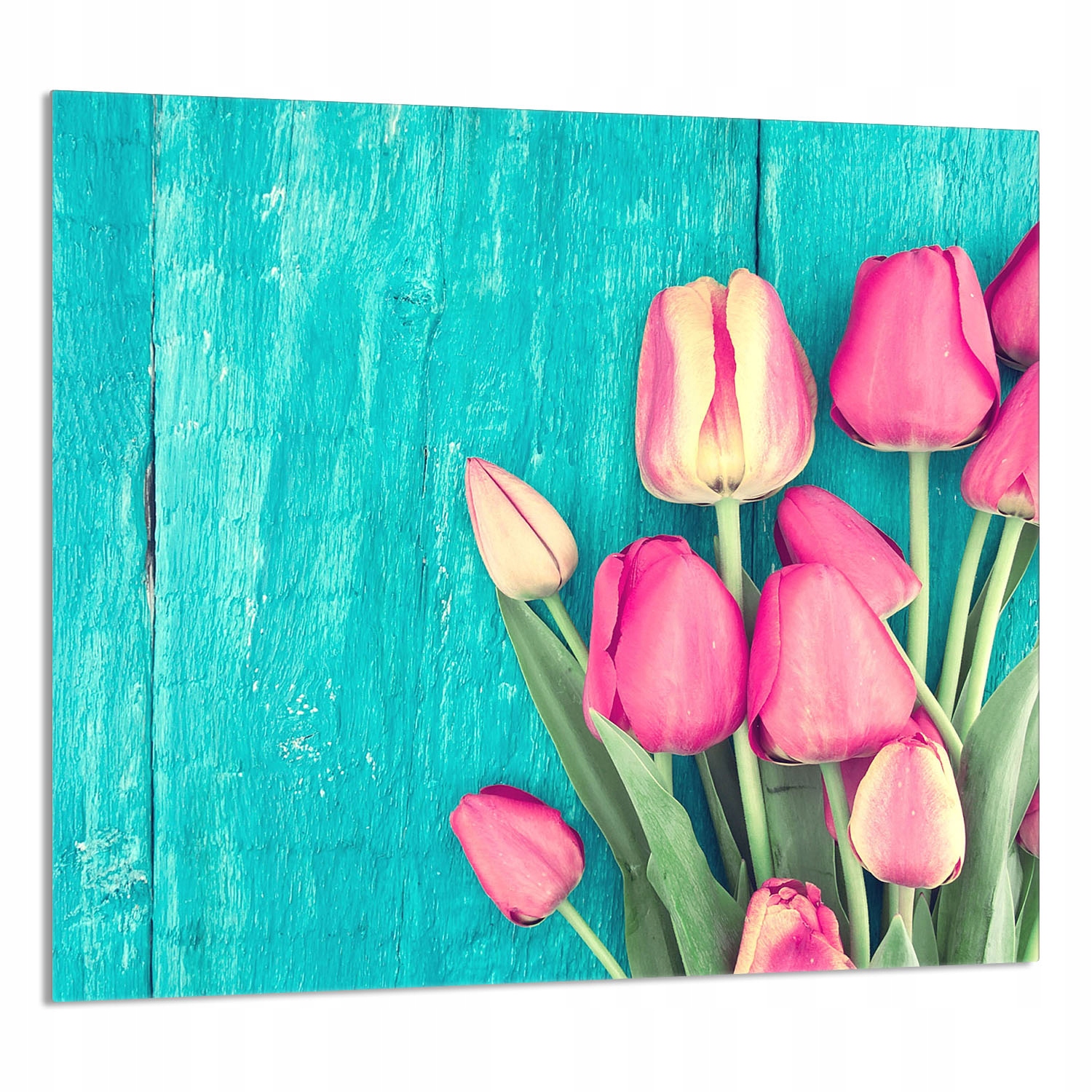Skleněný Panel Do Kuchyně 65x60 Tulipány Tvrzené Sklo