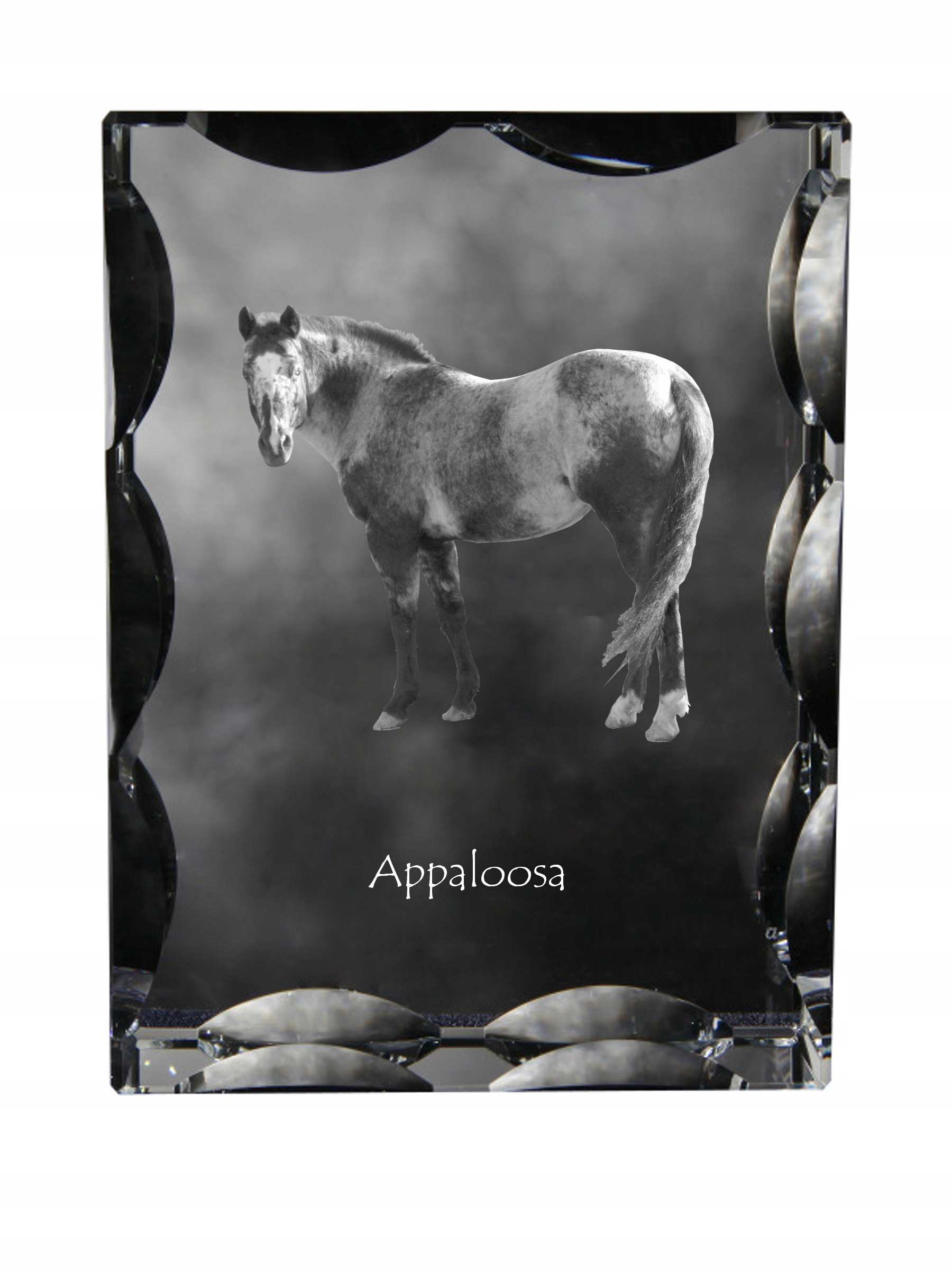 Appaloosa kryształ ze zdjęciem konia, szklana statuetka ze zdjęciem, wyją