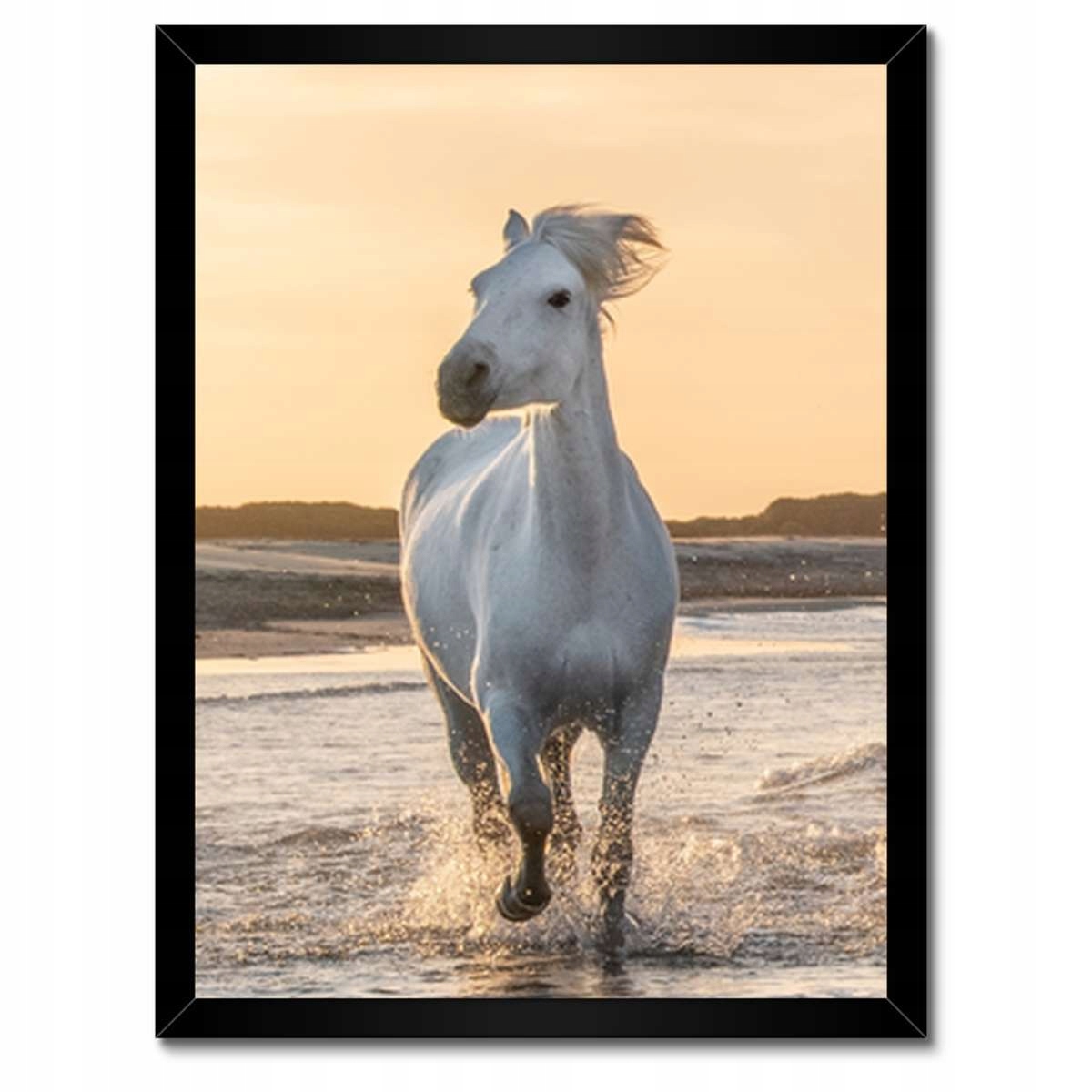 Plakáty v rámu 30x40 Divocí koně Wild Horses