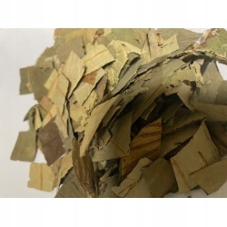 Liść Lotosu 100 G Rafex