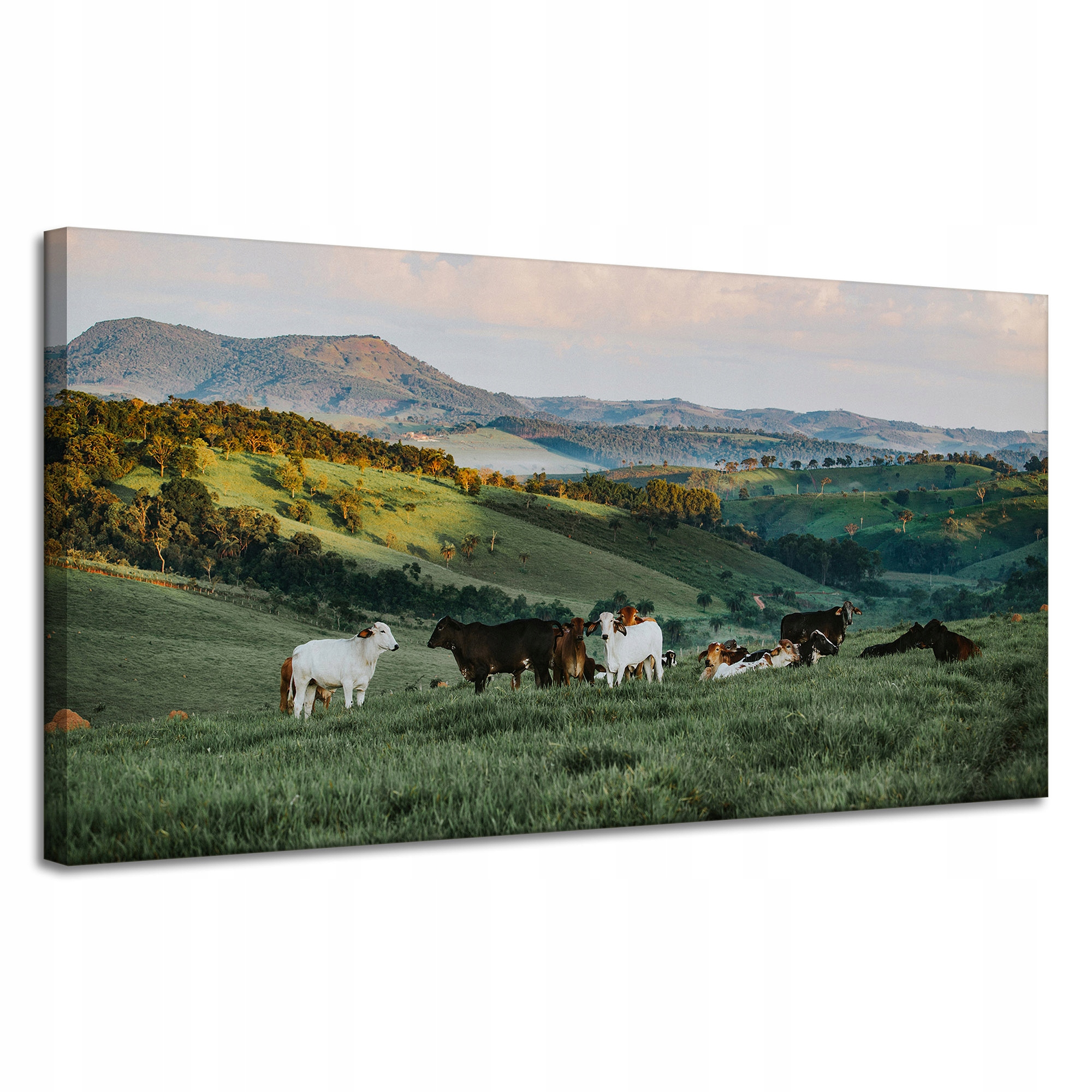 Obraz na plátně Příroda Pastvina Hory Ovce 120x60