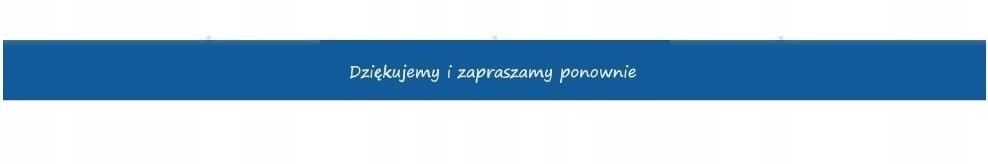 PASEK PASKI SAMOPRZYLEPNE TAPETA BORDER BORDERY Długość 5 m