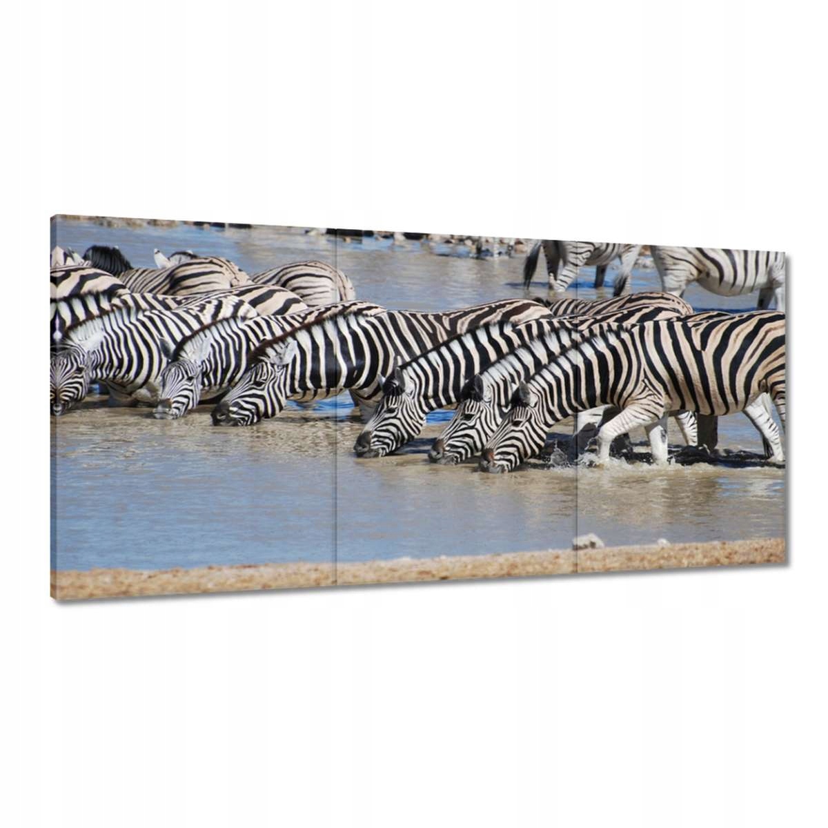 Obrazy 180x90 Zebry pri vode