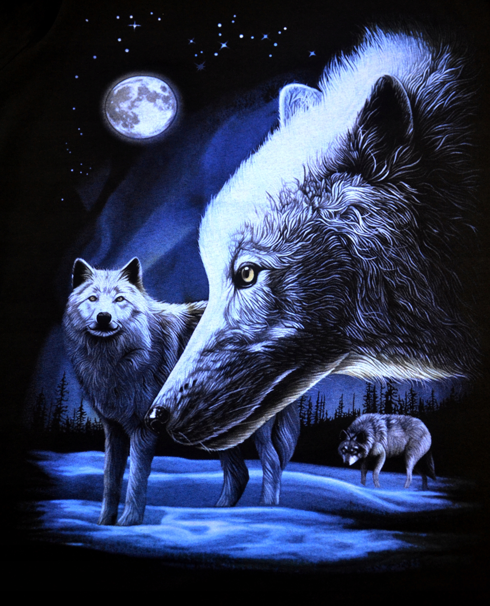 Koszulka t-shirt ŚWIECĄCA W CIEMNOŚCI wilki r.5XL Model Wilki