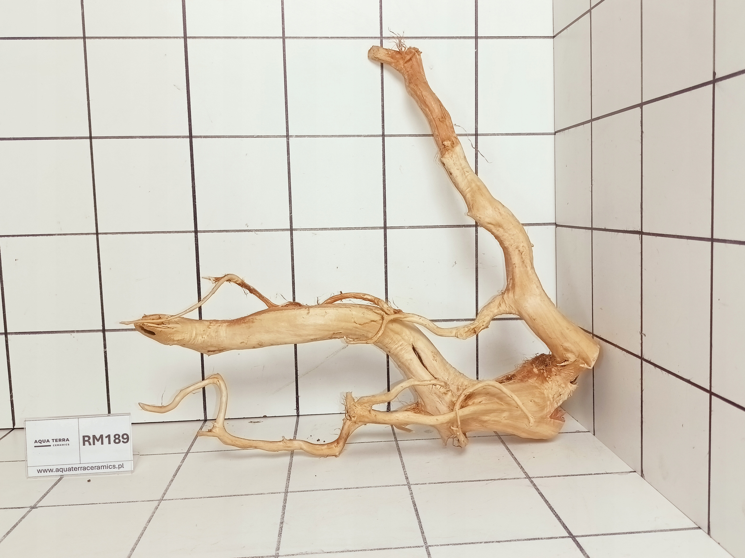 Korzeń Japoński Do Akwarium Terrarium Red Moor RM189 (to co na zdjęciu)