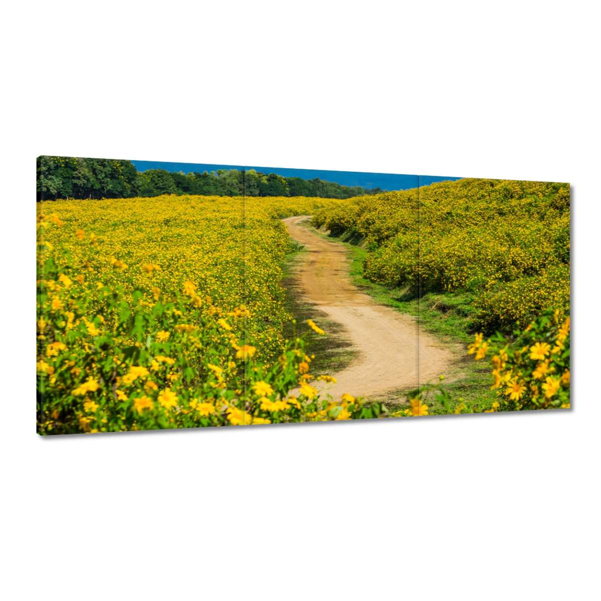 Obrazy 180x90 Veselá mliečna cesta