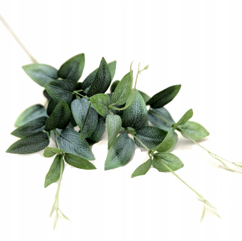 

Barwinek Gałązka Barwinka Zielona 62cm