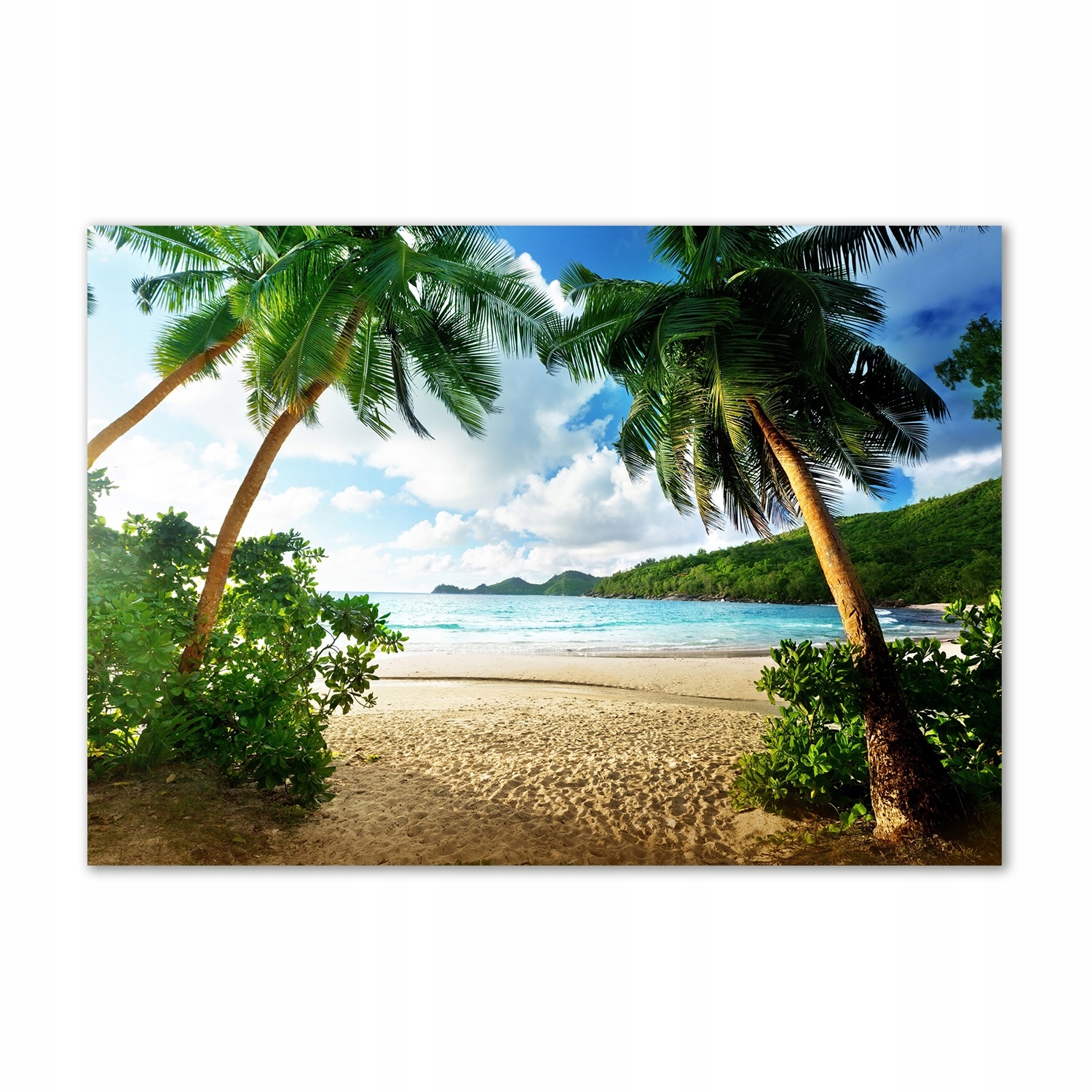 

Foto obraz szkło akryl Palmy na plaży 100x70 cm