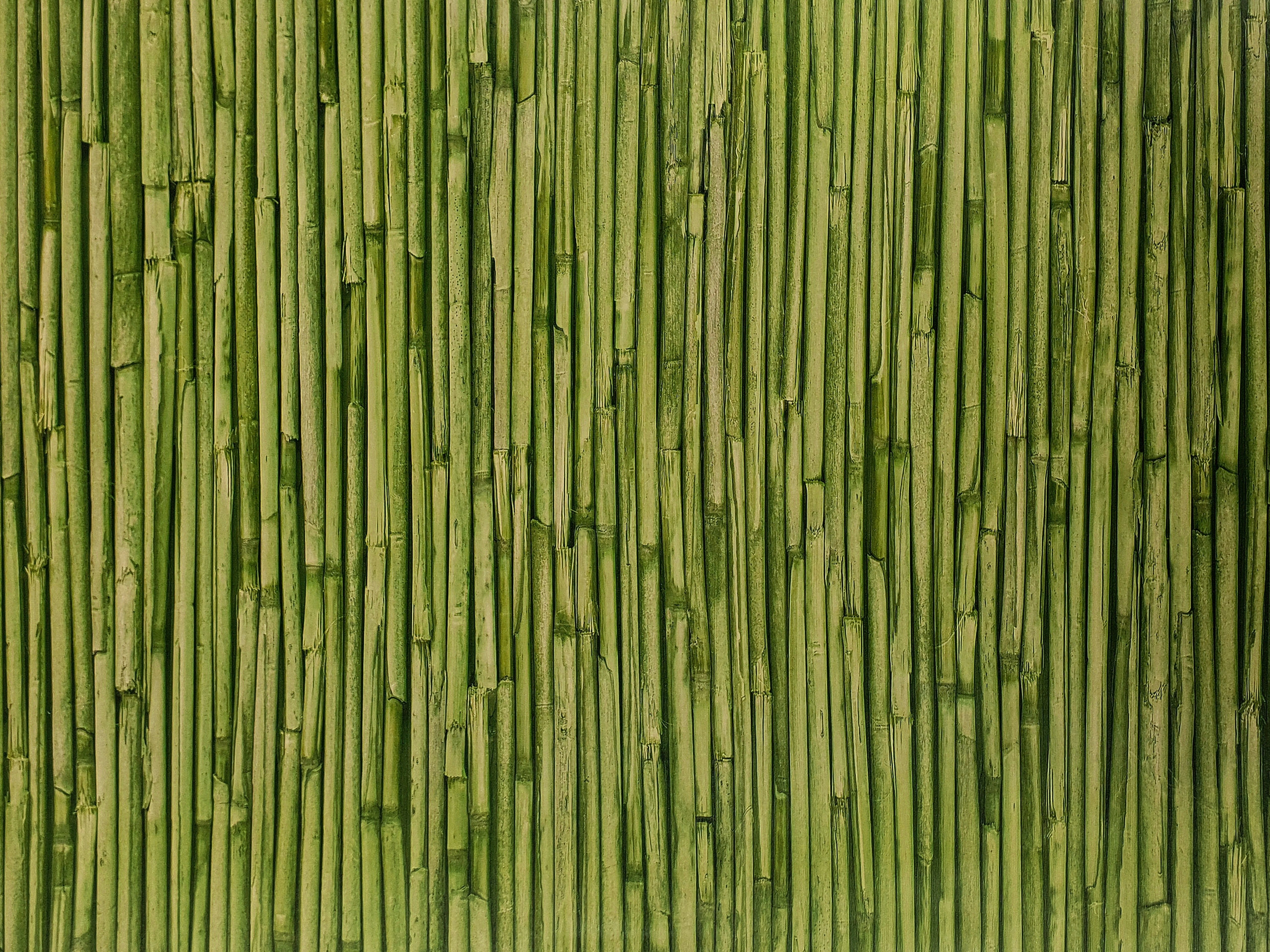 

Próbka Okleina Dekoracyjna Morska Trawa 10x15cm