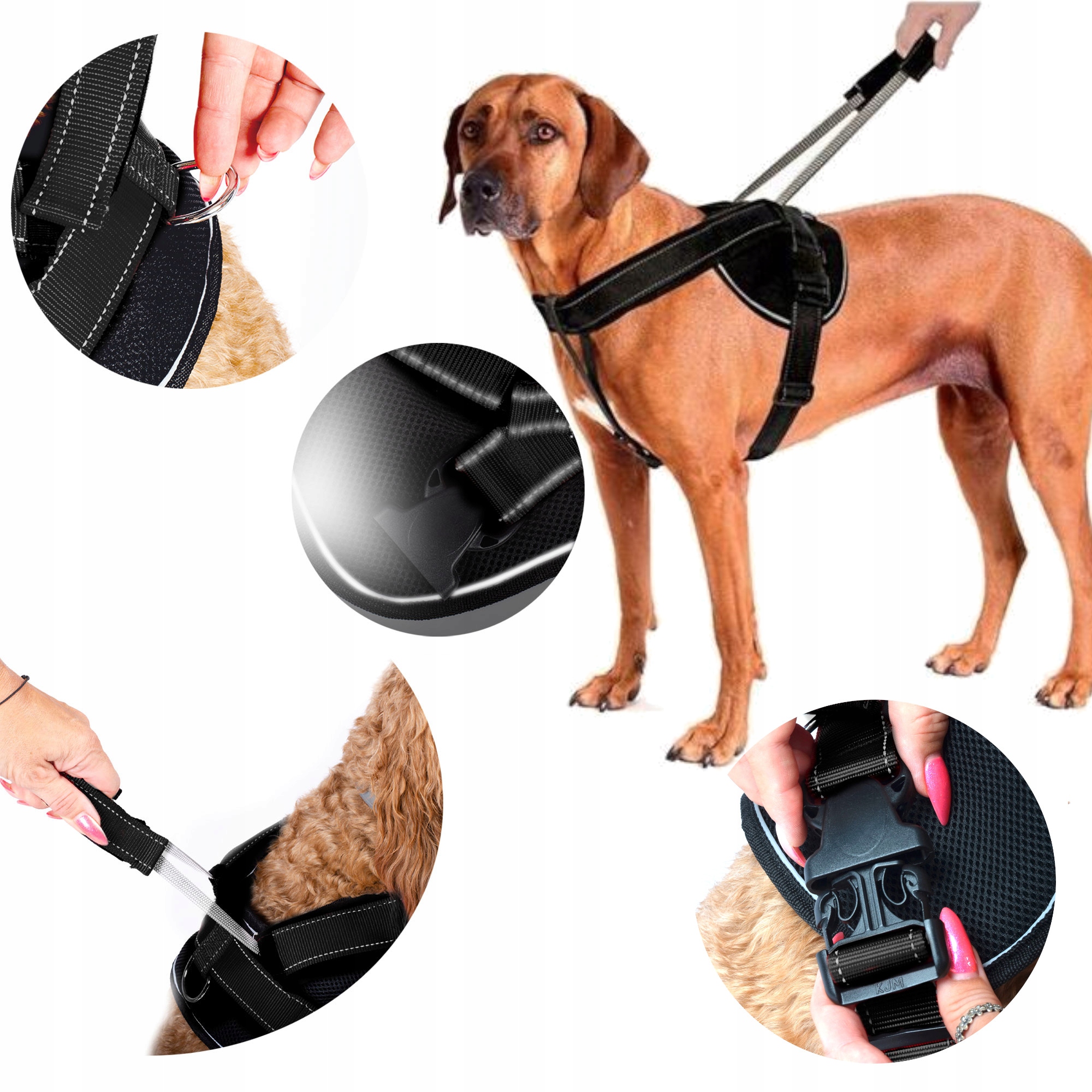 

Szelki Treningowe Dla Psa Guard Uchwytem Odblask L