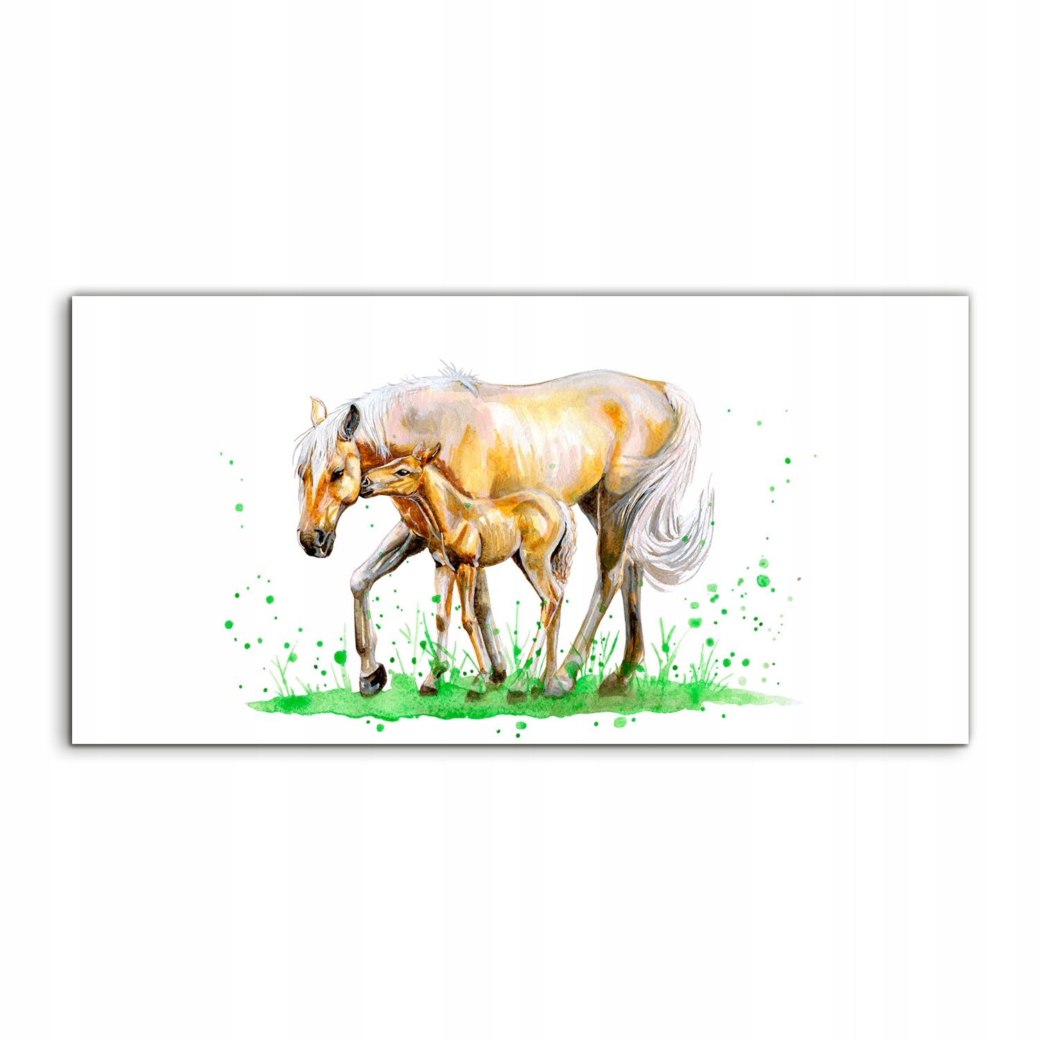 

Fotoobraz akryl 120x60 wiszący Akwarele Koń Trawa