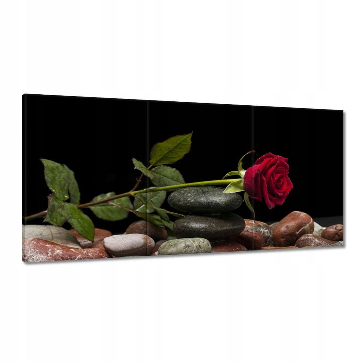 Obrazy 180x90 Spa Wellness Relax Voda