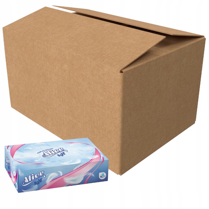 Chusteczki Higieniczne W Pudełku Wyciągane 40x 100 Sztuk 2-WARSTWY