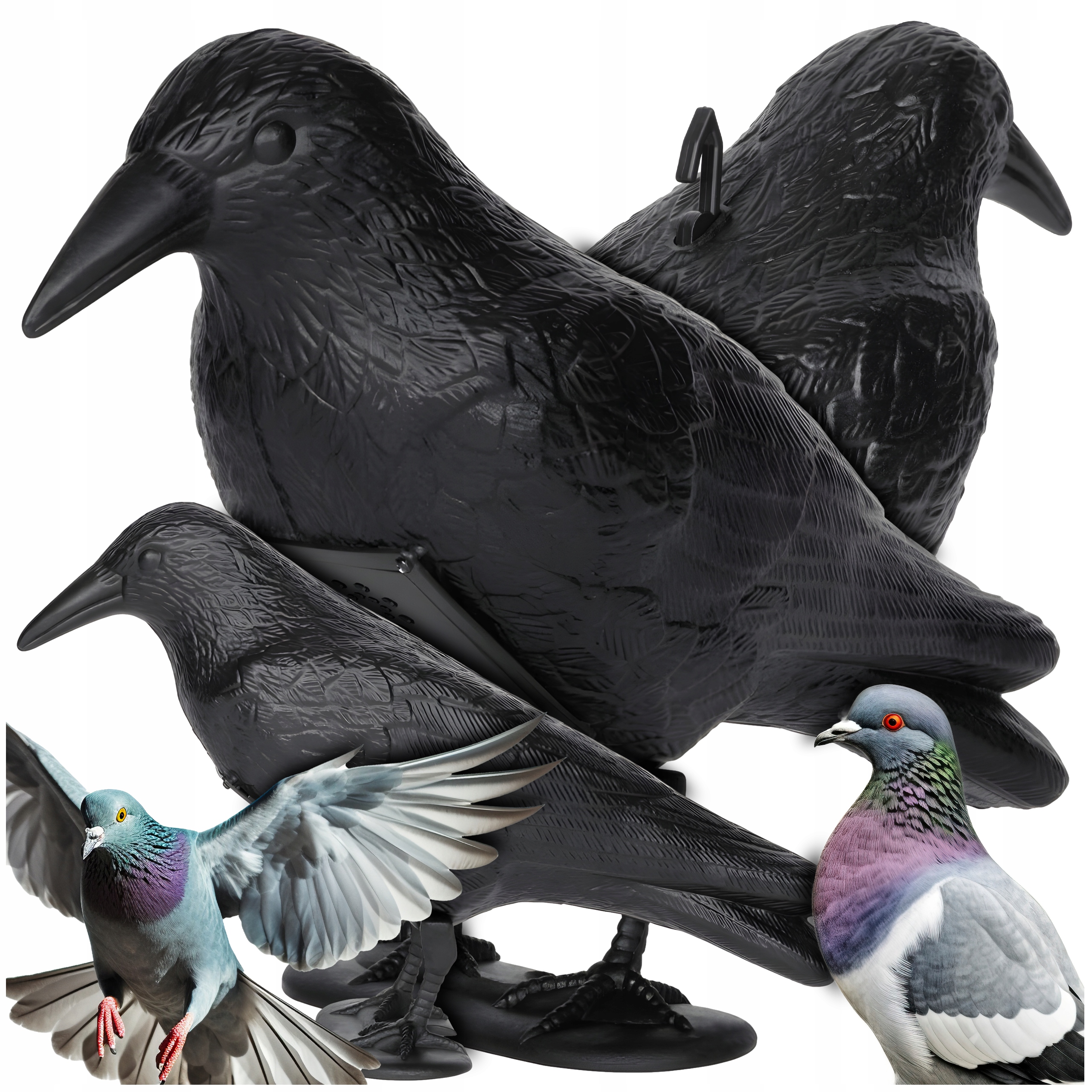 KRUK ODSTRASZACZ PTAKÓW GOŁĘBI NA BALKON GŁOŚNIK Z DŹWIĘKIEM