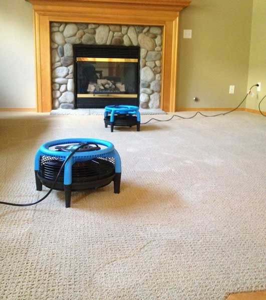 Osuszacz do podłóg, dywanów i wykładzin DRI-POD Marka inna