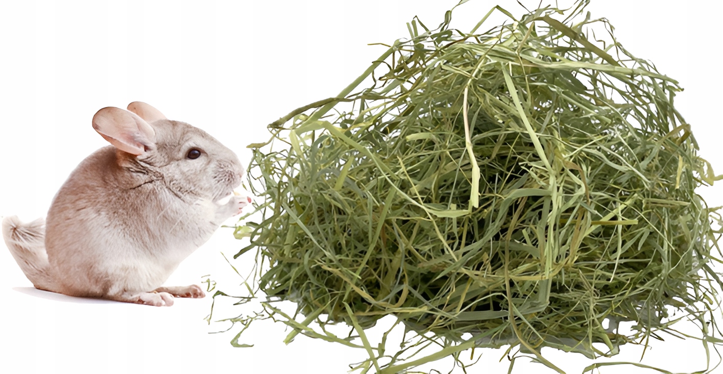 Seno pro psa do boudy, materiál hnízda, přírodní pokos z trávy od farmáře