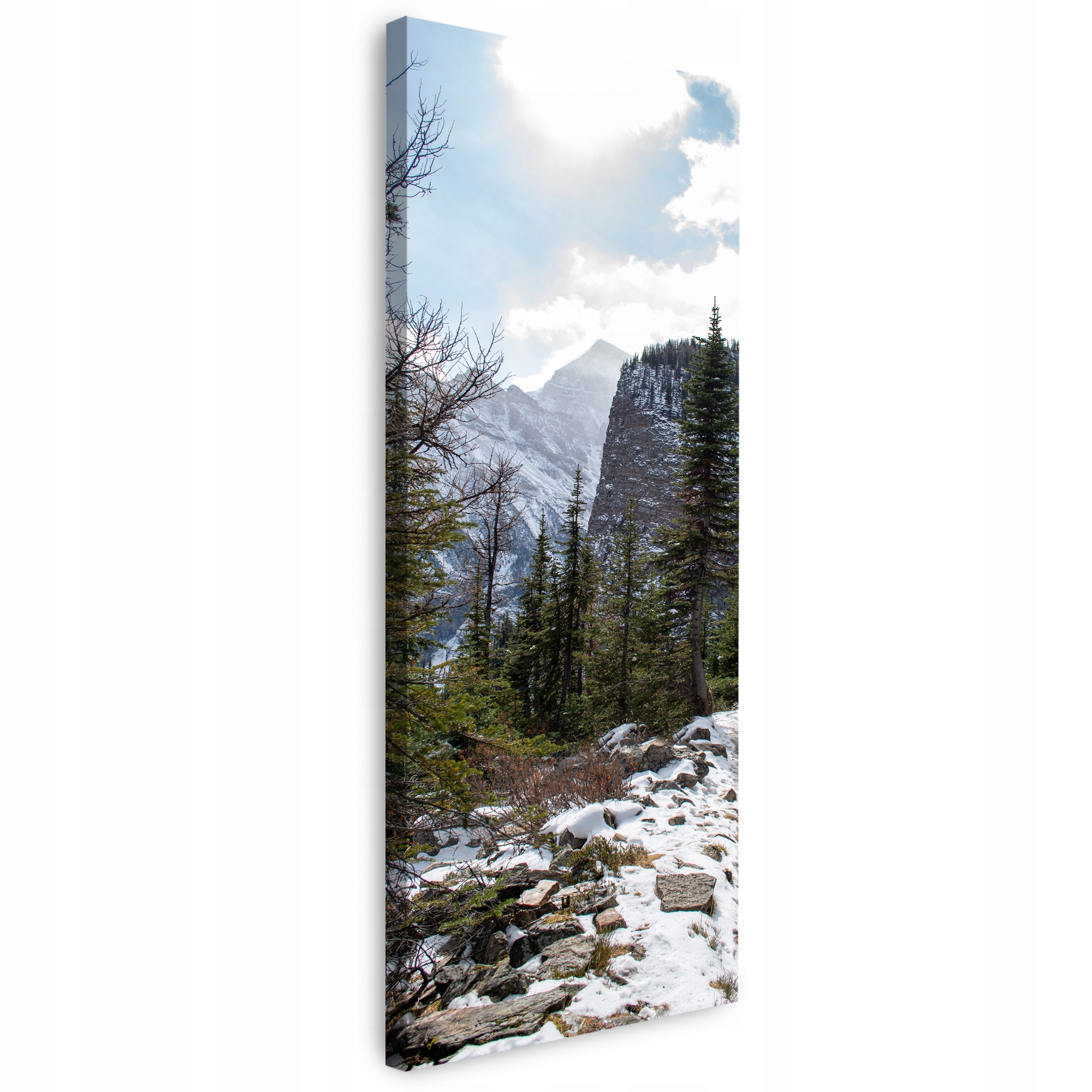 Obraz na plátně Příroda Horská stezka 40x120 cm