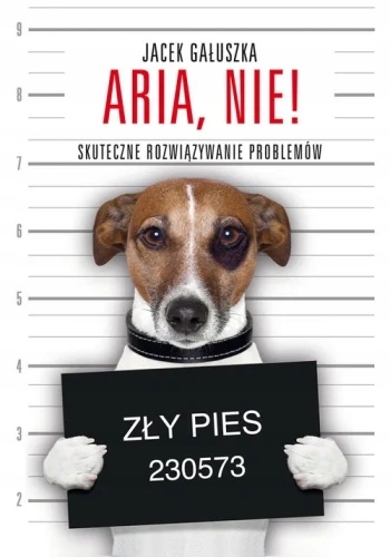 Aria nie! Skuteczne rowiązywanie problemów Jacek-Zdjęcie-0