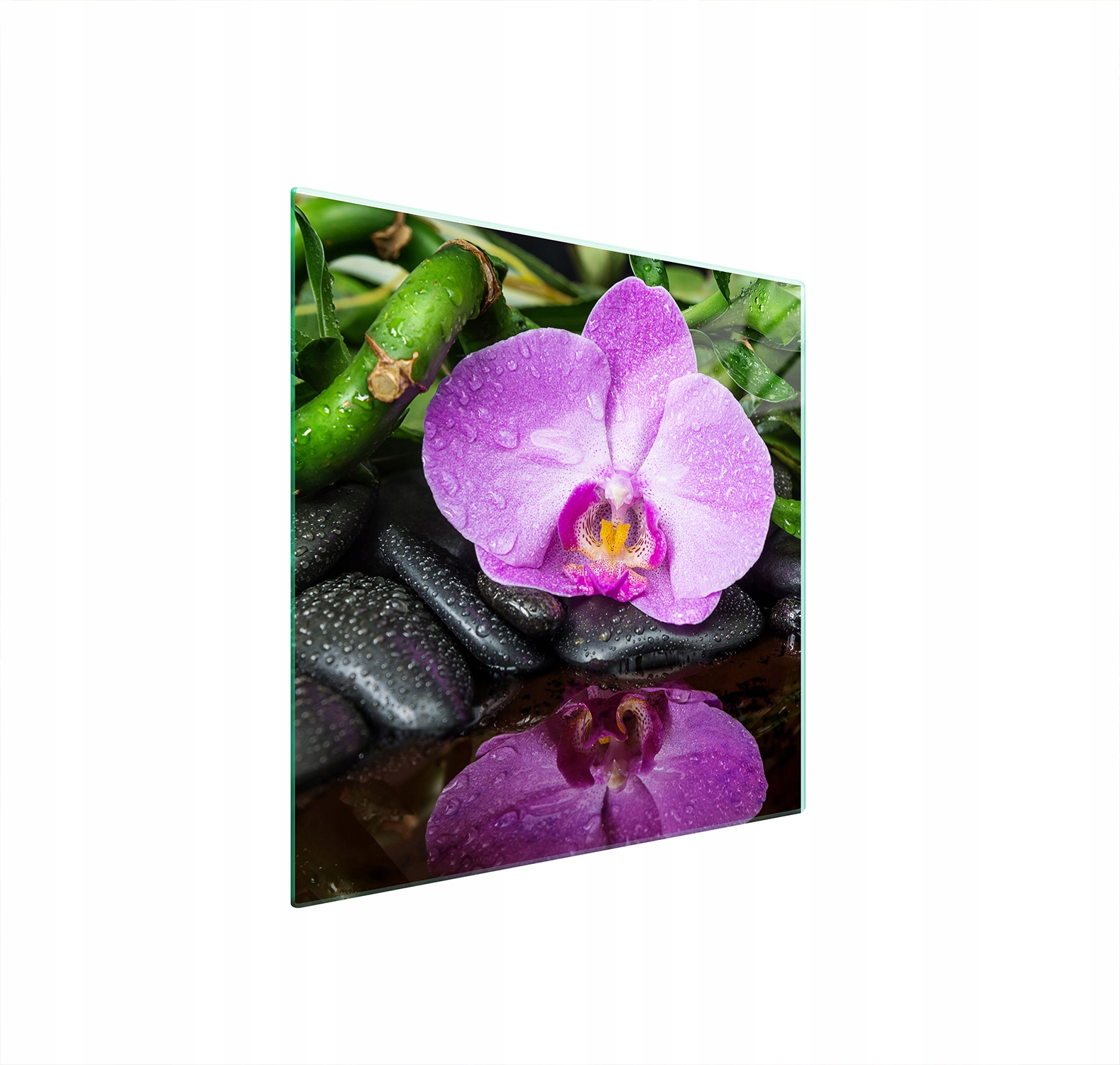 Ochranná Skleněná Deska Na Sporák 50x52 Orchidej Tvrzené Sklo