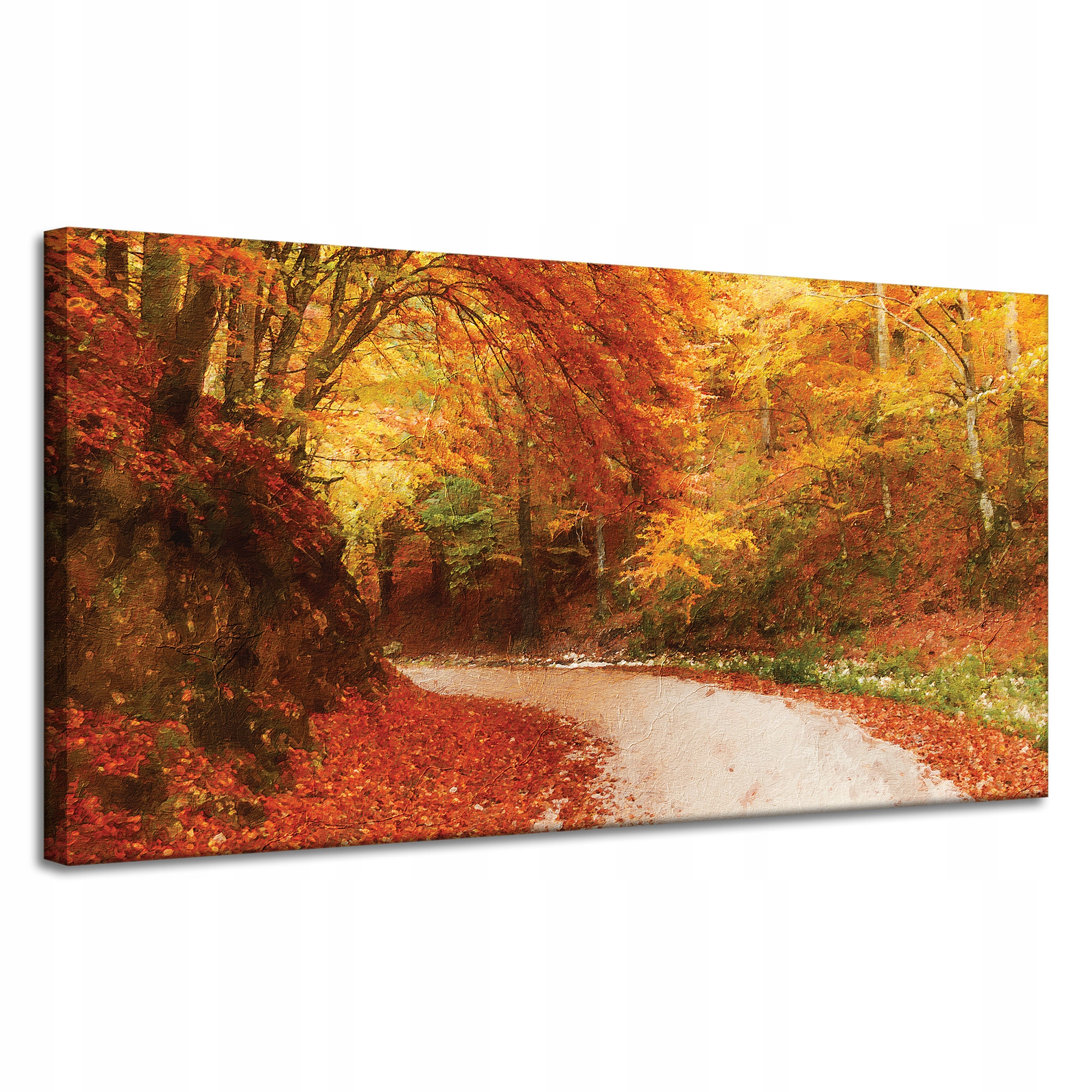 Obraz na plátně Stezka v Podzimním lese Barevné listy 120x60 cm