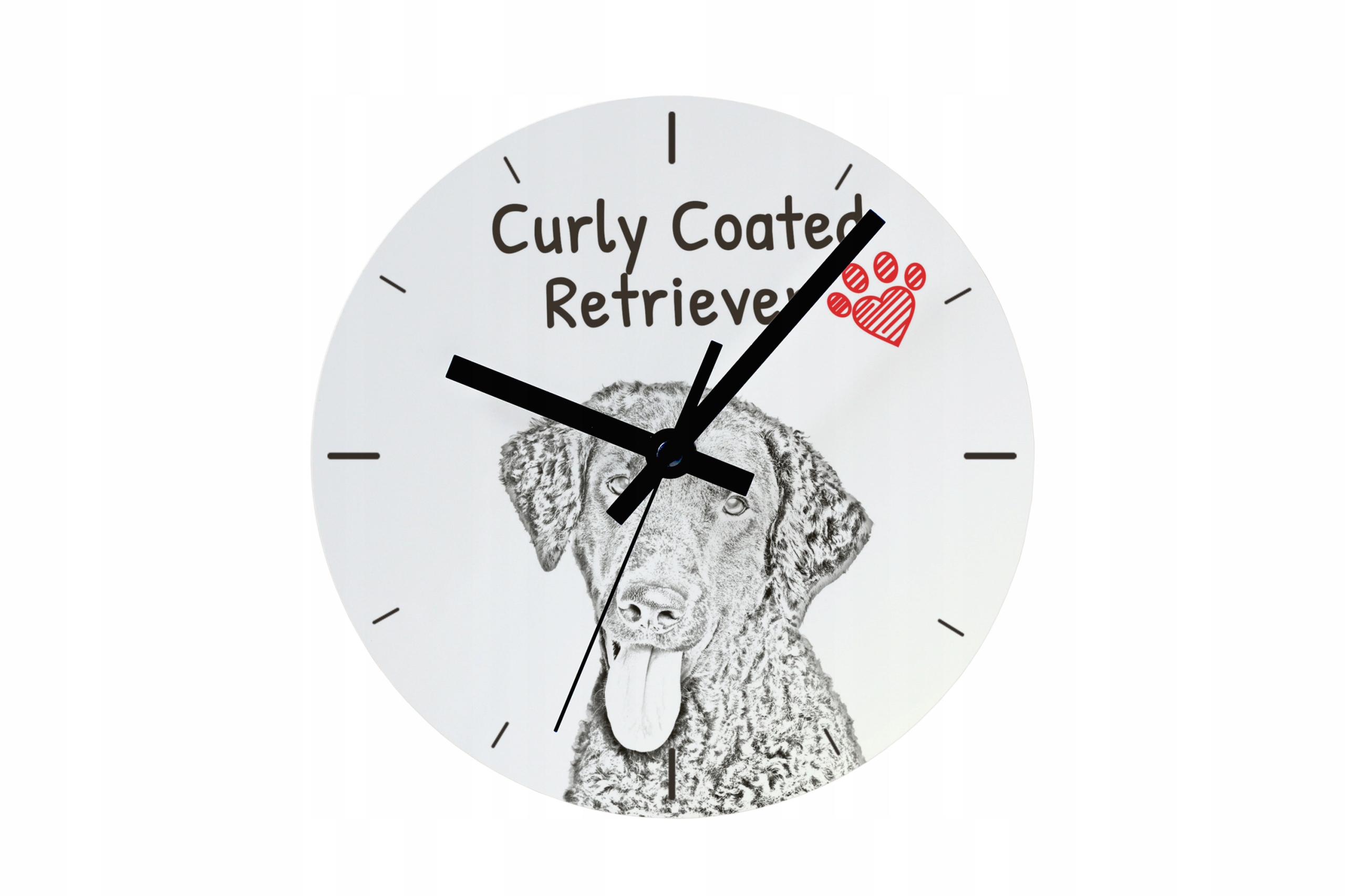 Curly Coated Retriever hodiny se psem, závěsné a stojící, personalizace