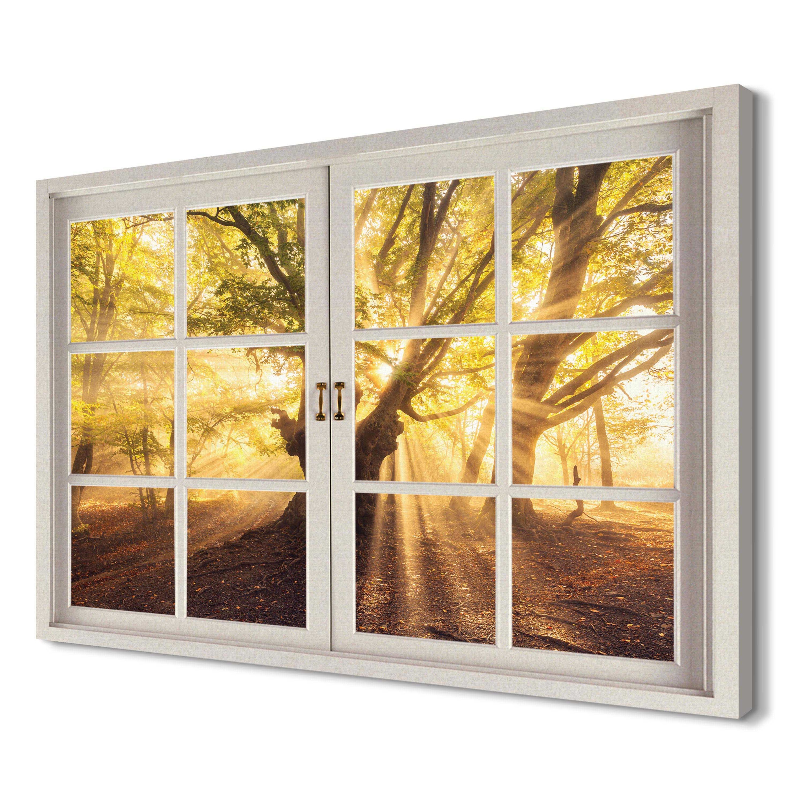 

Stare drzewo na ścianę 120x80 Foto-obraz canvas 3d