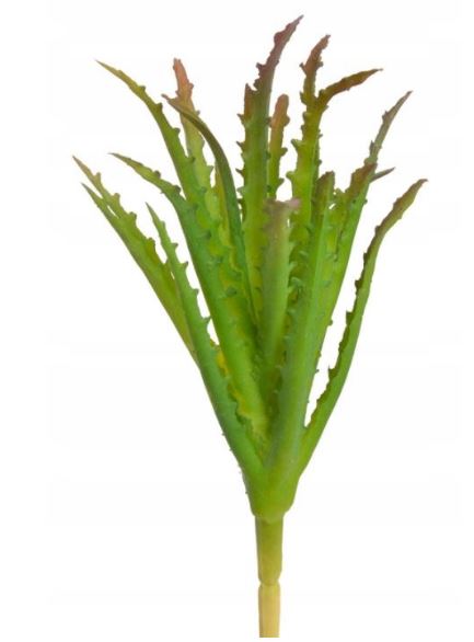 

Aloes sztuczny Sukulent gumowy ozdoba kaktus 18 cm