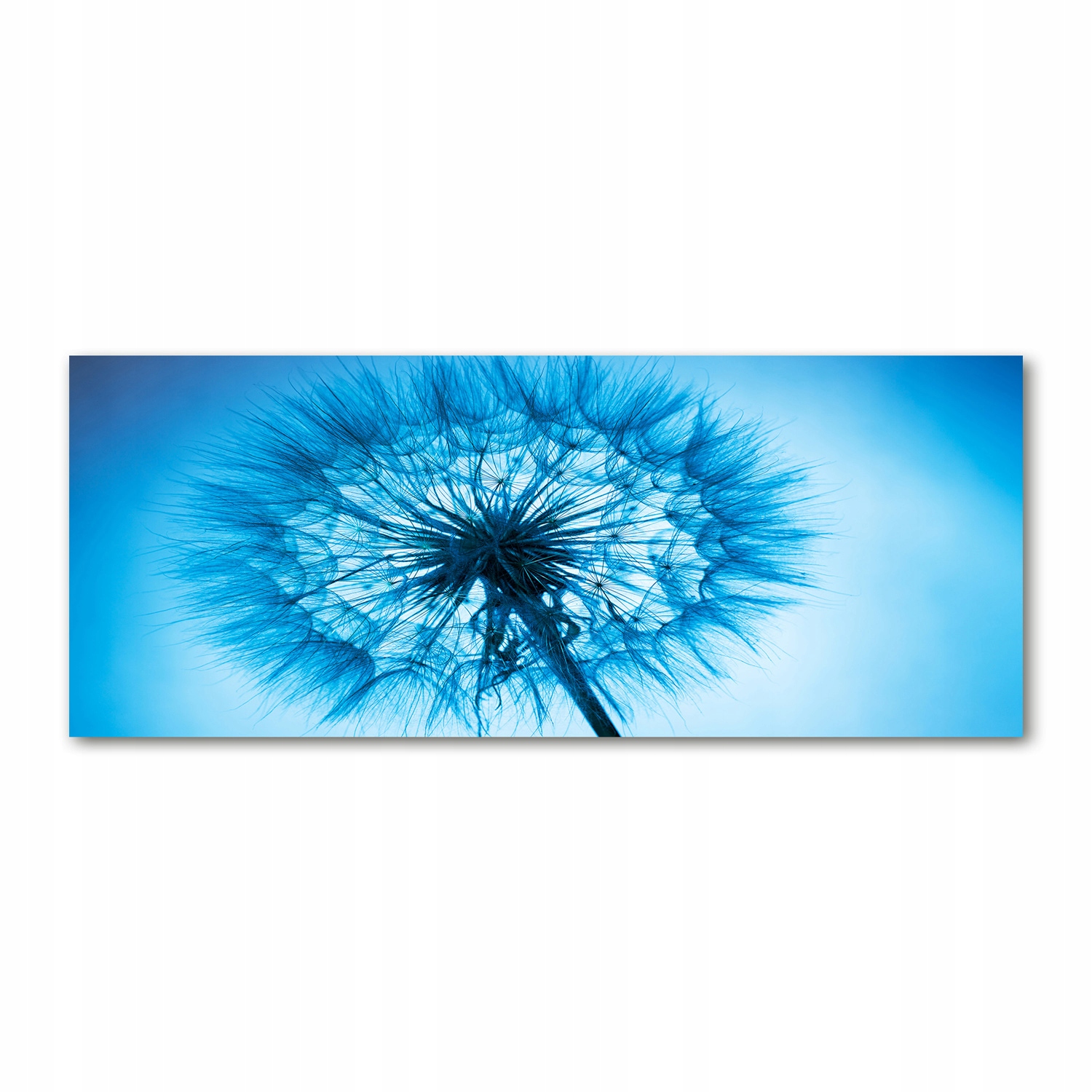 

Foto obraz akryl nowoczesny Dmuchawiec 125x50 cm