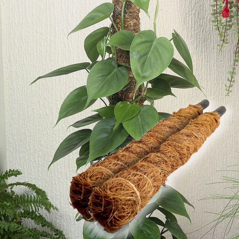 Kokosový pólový pól - podpora rastlín 140 cm 2ks.