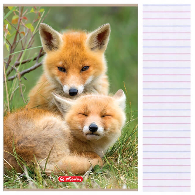

Zeszyt A4 32kartki 3 w linię kolor Animals Herlitz