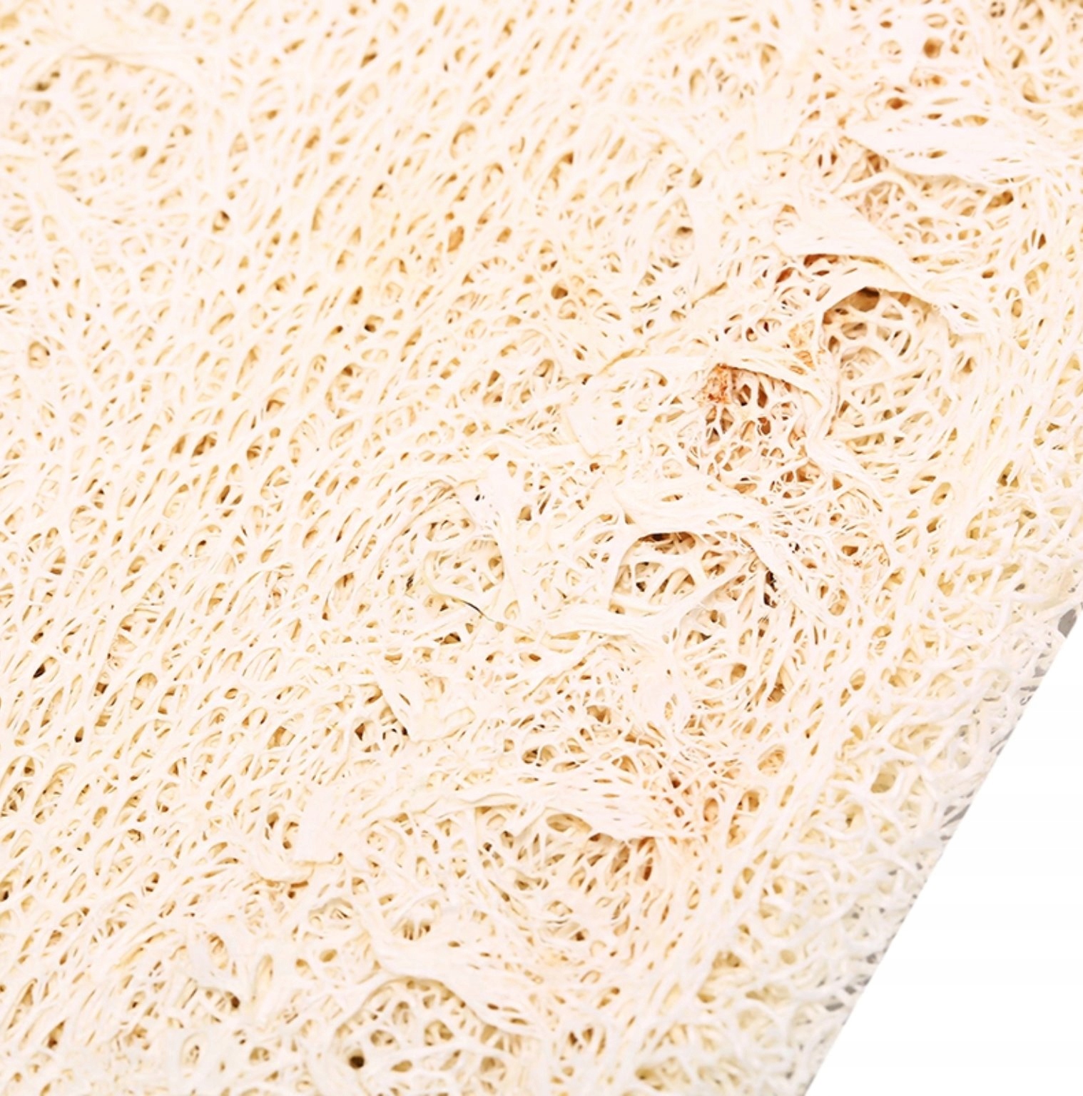 

Eko gąbka do naczyń naturalna do kuchni Loofah :)