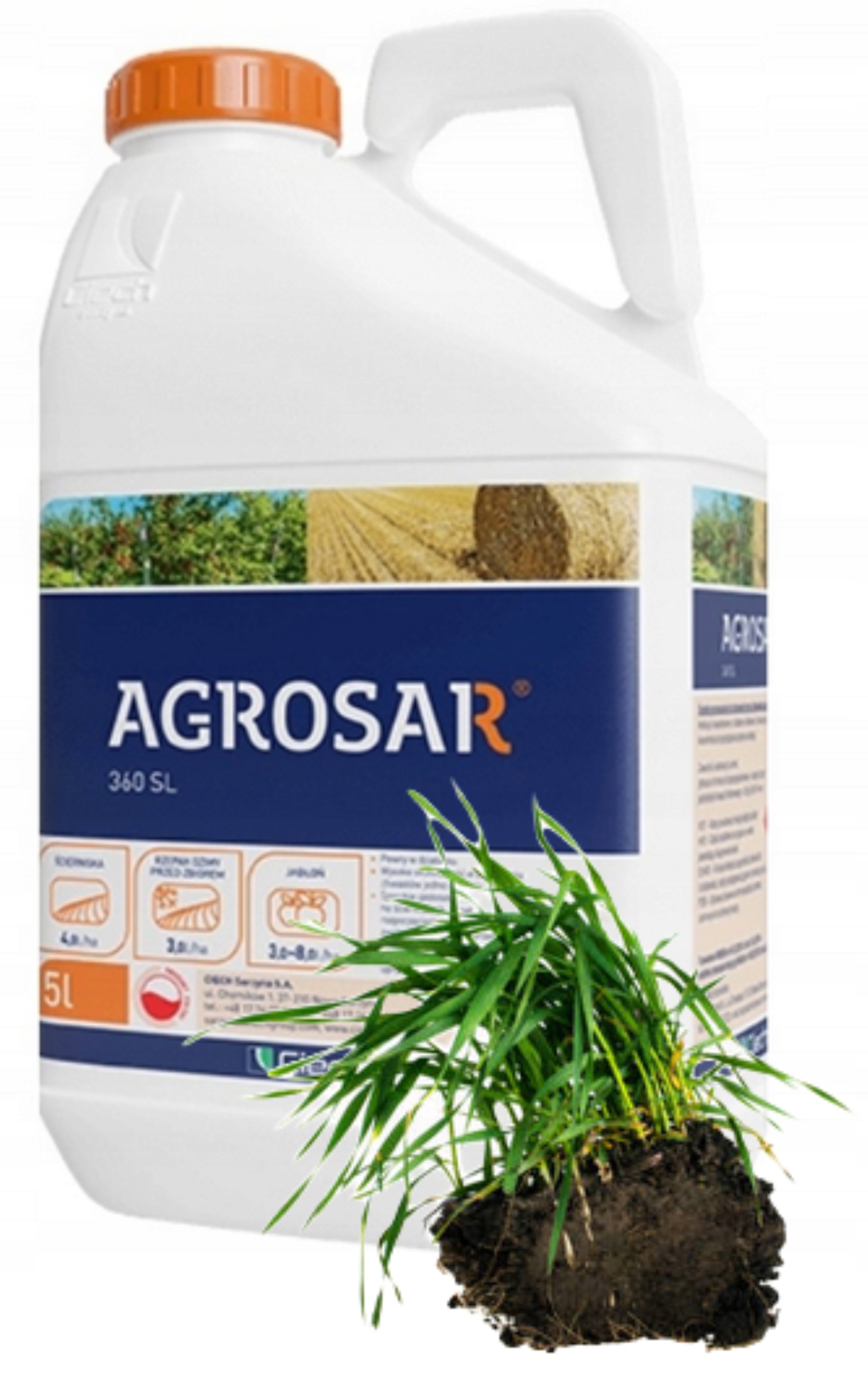 Agrosar 360SL 5L na Chwasty Glifosat Herbicyd Totalny Niszczy Chwasty