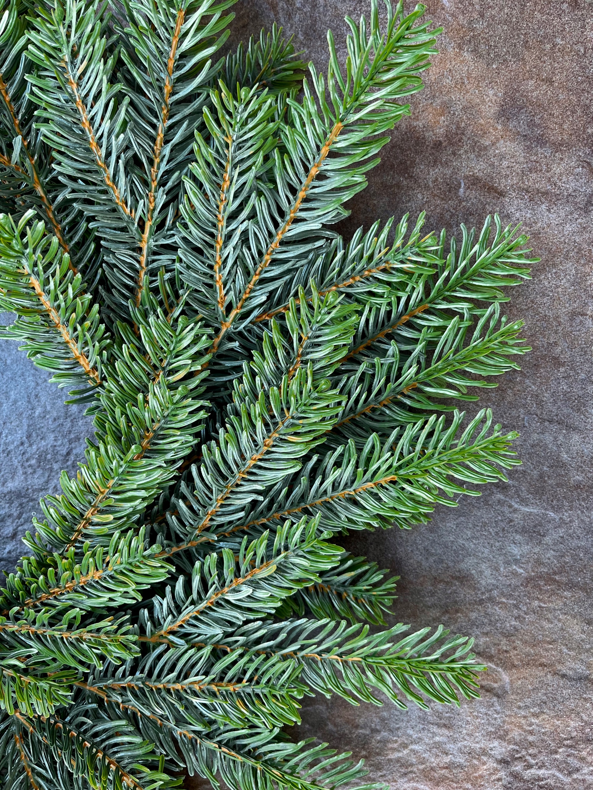 Karácsonyfa koszorú fenyő dekoratív gallyak 100% PE Márka RAV