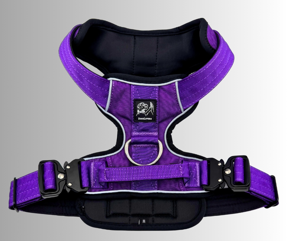 Levně Postroj Extreme Strong DogsLovers kovové přezky Extreme