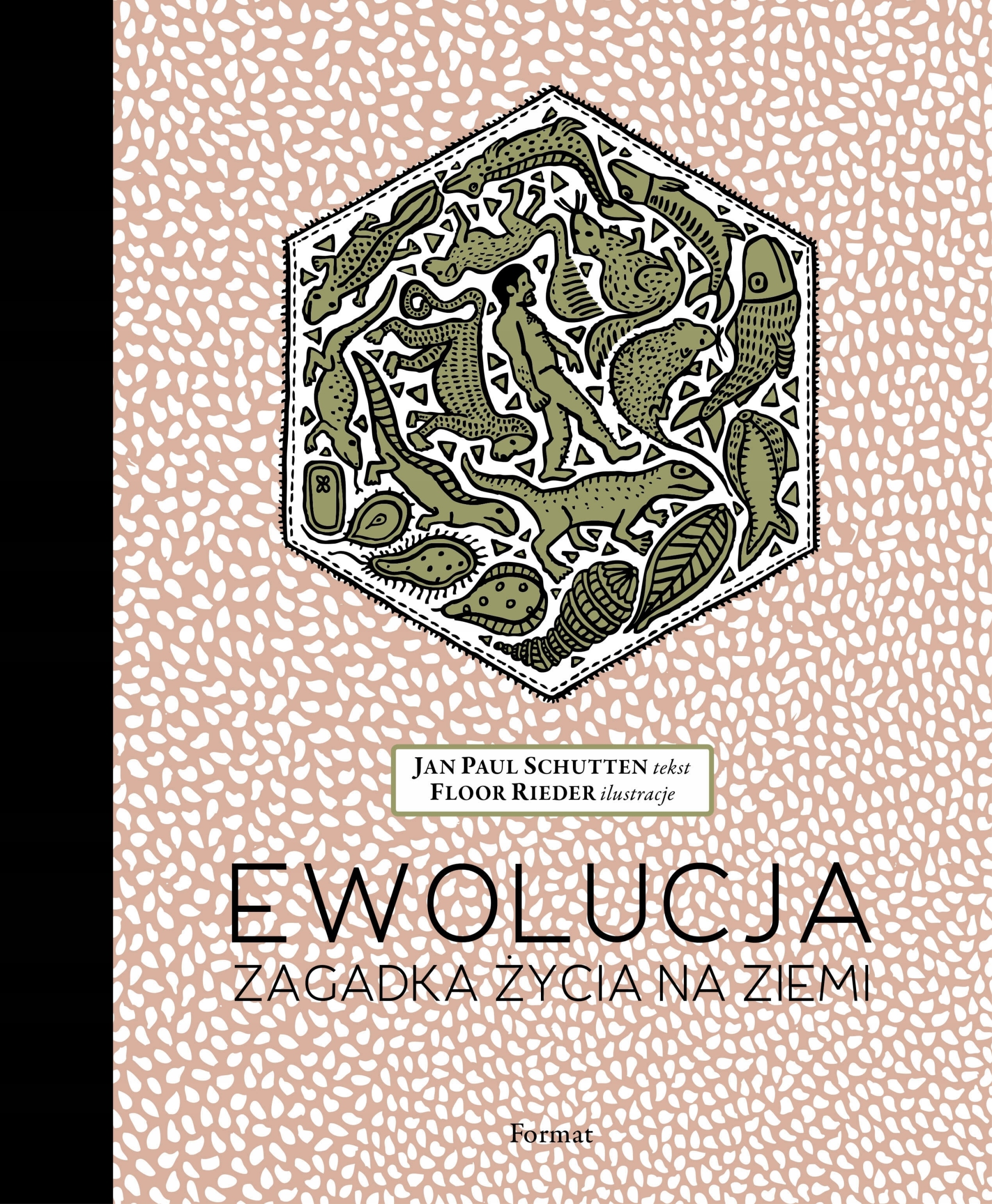 

Ewolucja Zagadka życia na ziemi Format