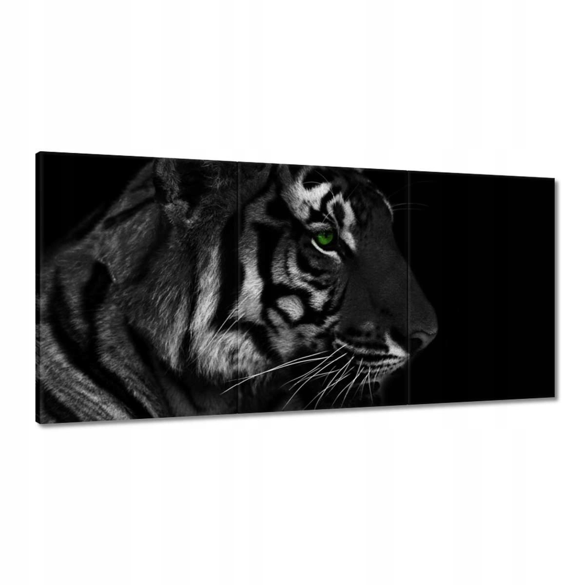 Obrazy 180x90 Tiger