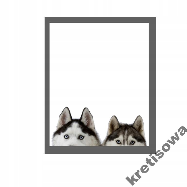 

Damska Terrier Dog Doberman Buldog Husky r6a