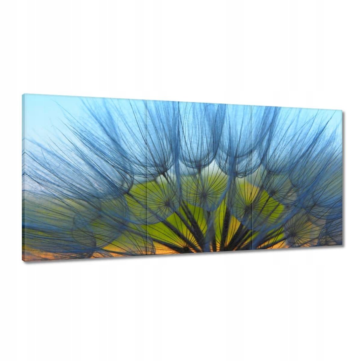 Obrazy 180x90 Púpava Kvet Kvety