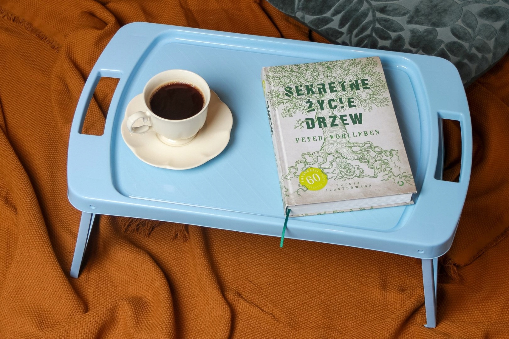 TACA TACKA PLASTIKOWA STOLIK ŚNIADANIOWY DO ŁÓŻKA Marka inna