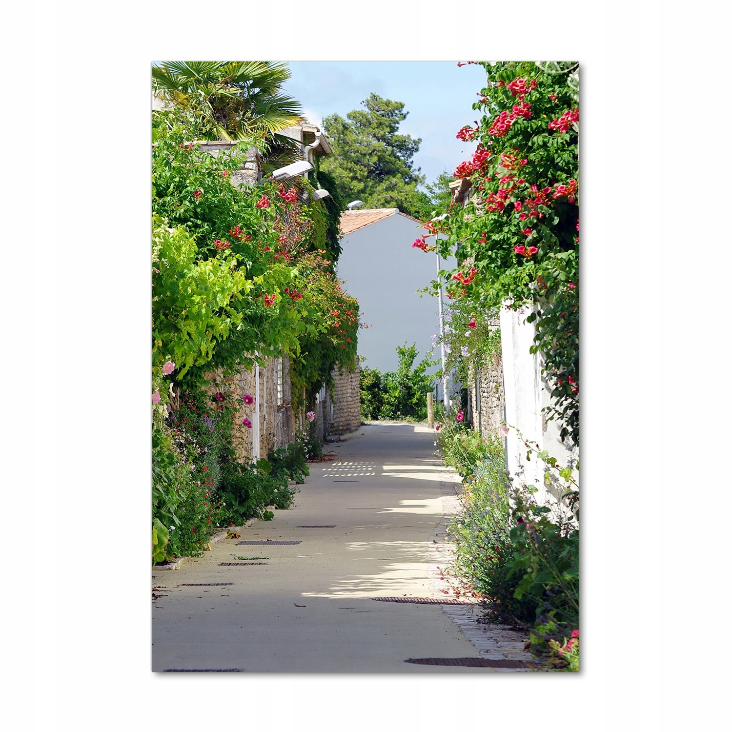 

Foto obraz akrylowy Francuskie uliczki 70x100 cm