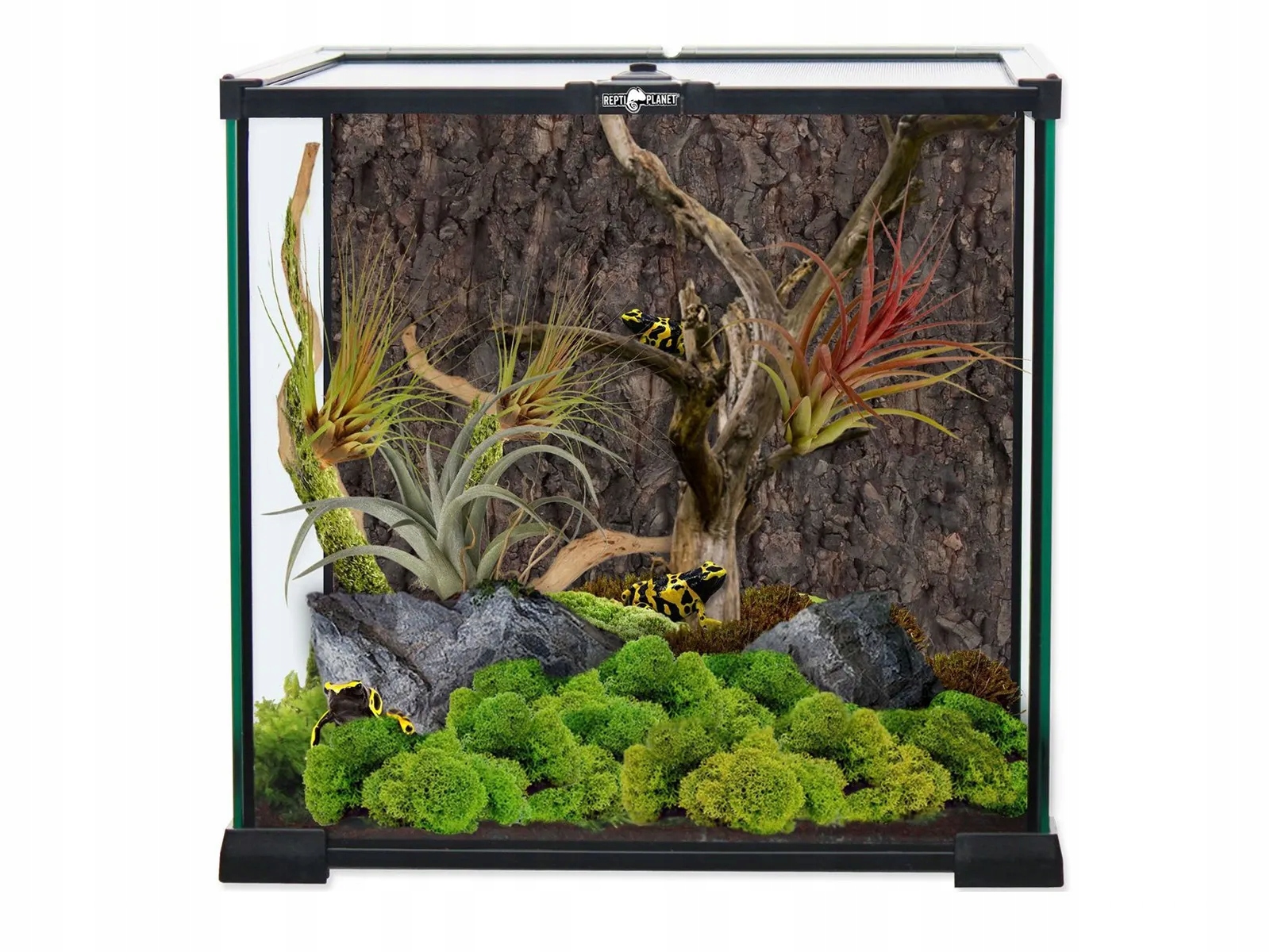 Terrarium szklane 30x30x30cm dla ptasznika, żaby, kraba Repti Planet