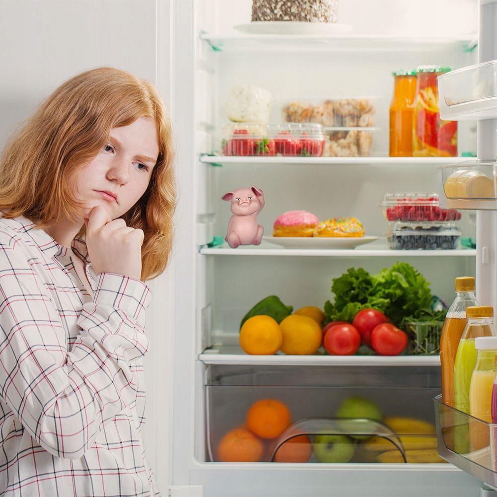 ŚWINKA CHRUMKA DO LODÓWKI Z CZUJNIKEM ŚWIATŁA Marka Orion