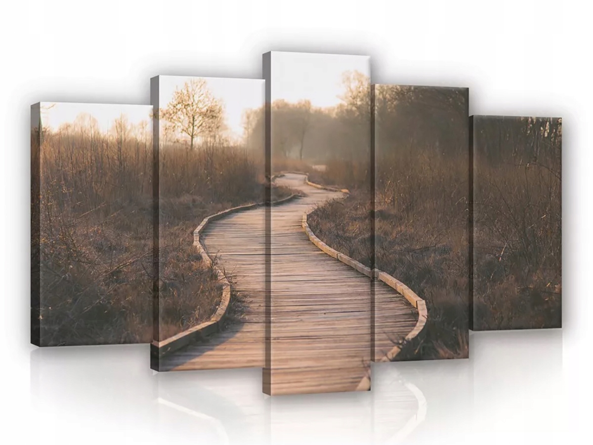 Obraz Na Plátně Canvas 100x60 Cesta Stezka Pohled