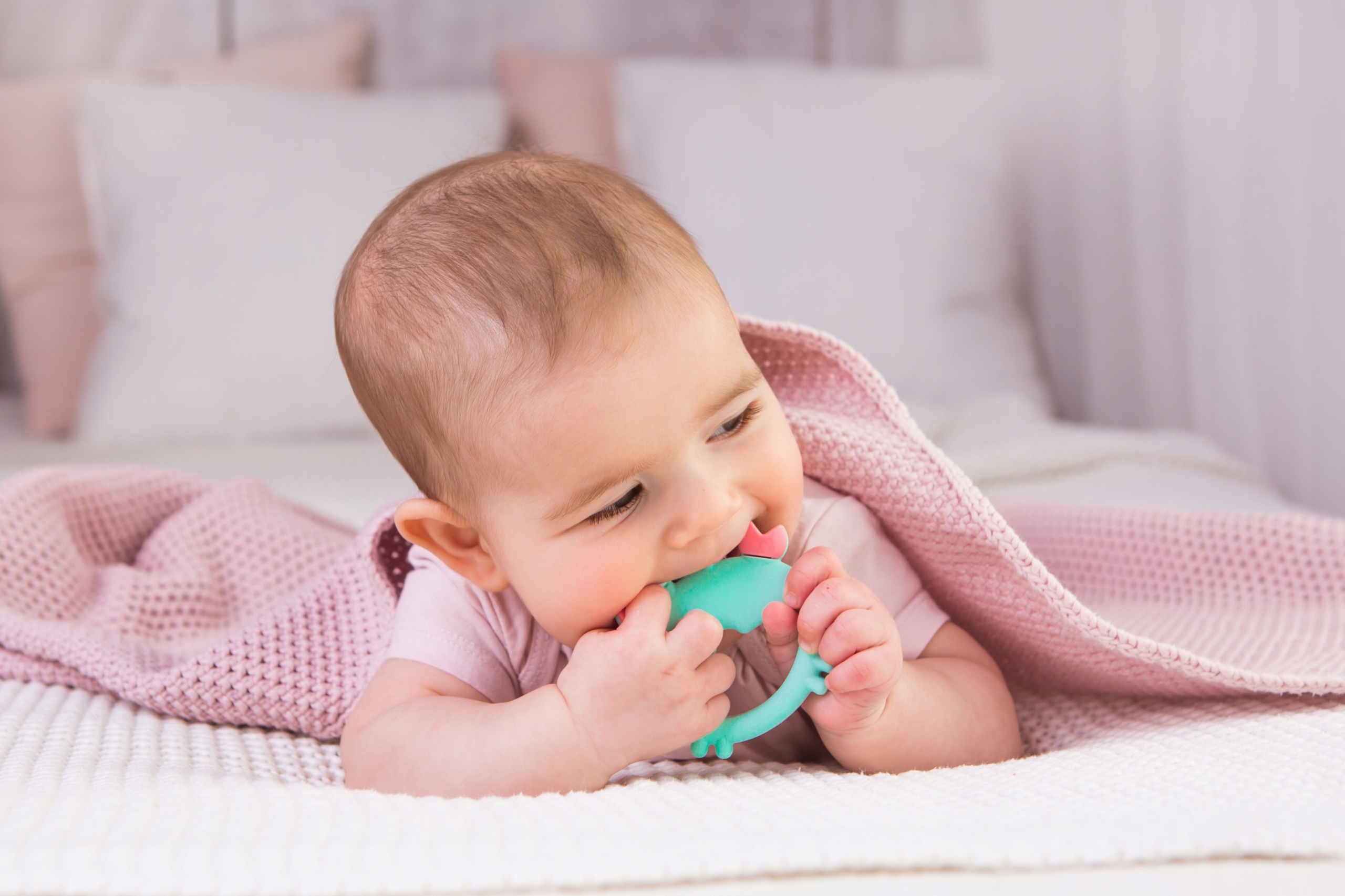 GILIGUMS GRYZAK SILIKONOWY KRAB Materiał silikon