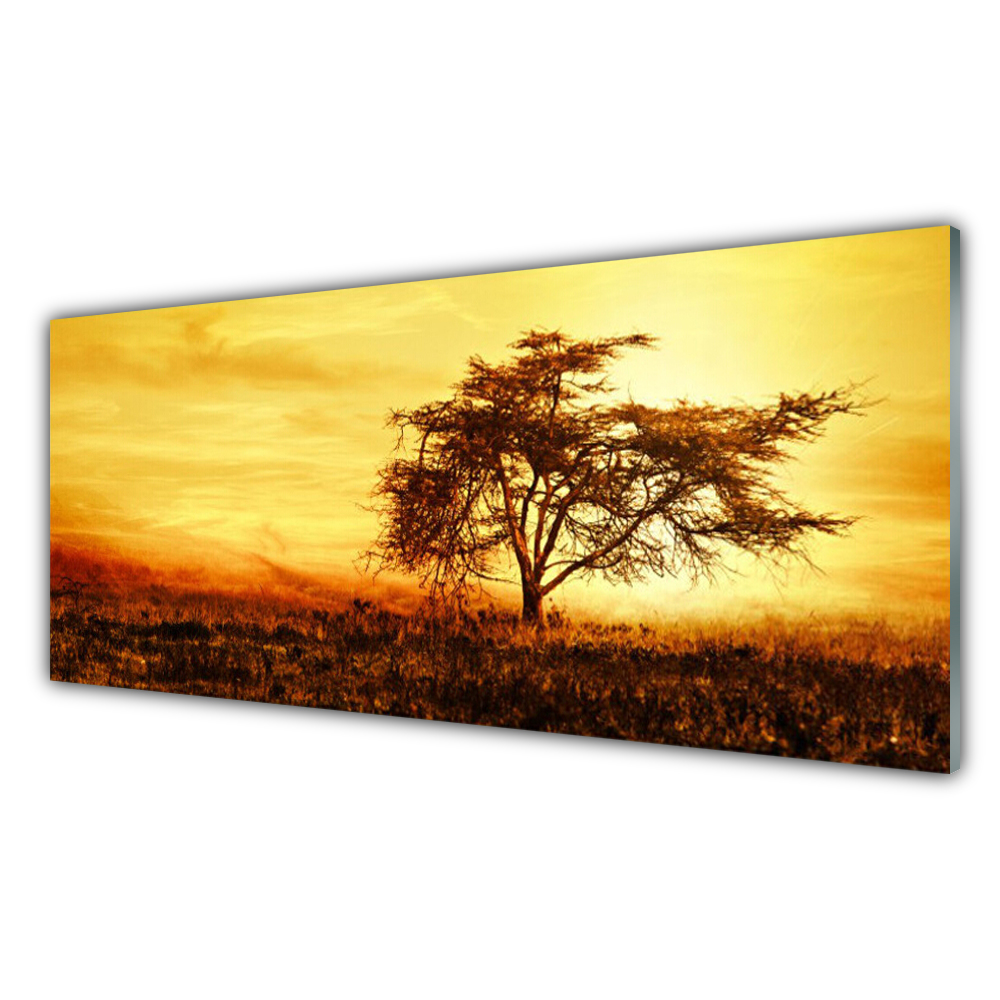 

Fotoobraz ścienny nowoczesny 125x50 Drzewo Natura