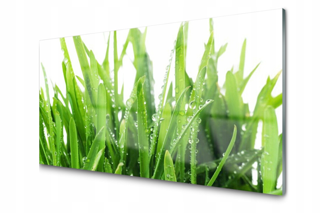

Panel szklany dekor Trawa Roślina 140x70 + Klej