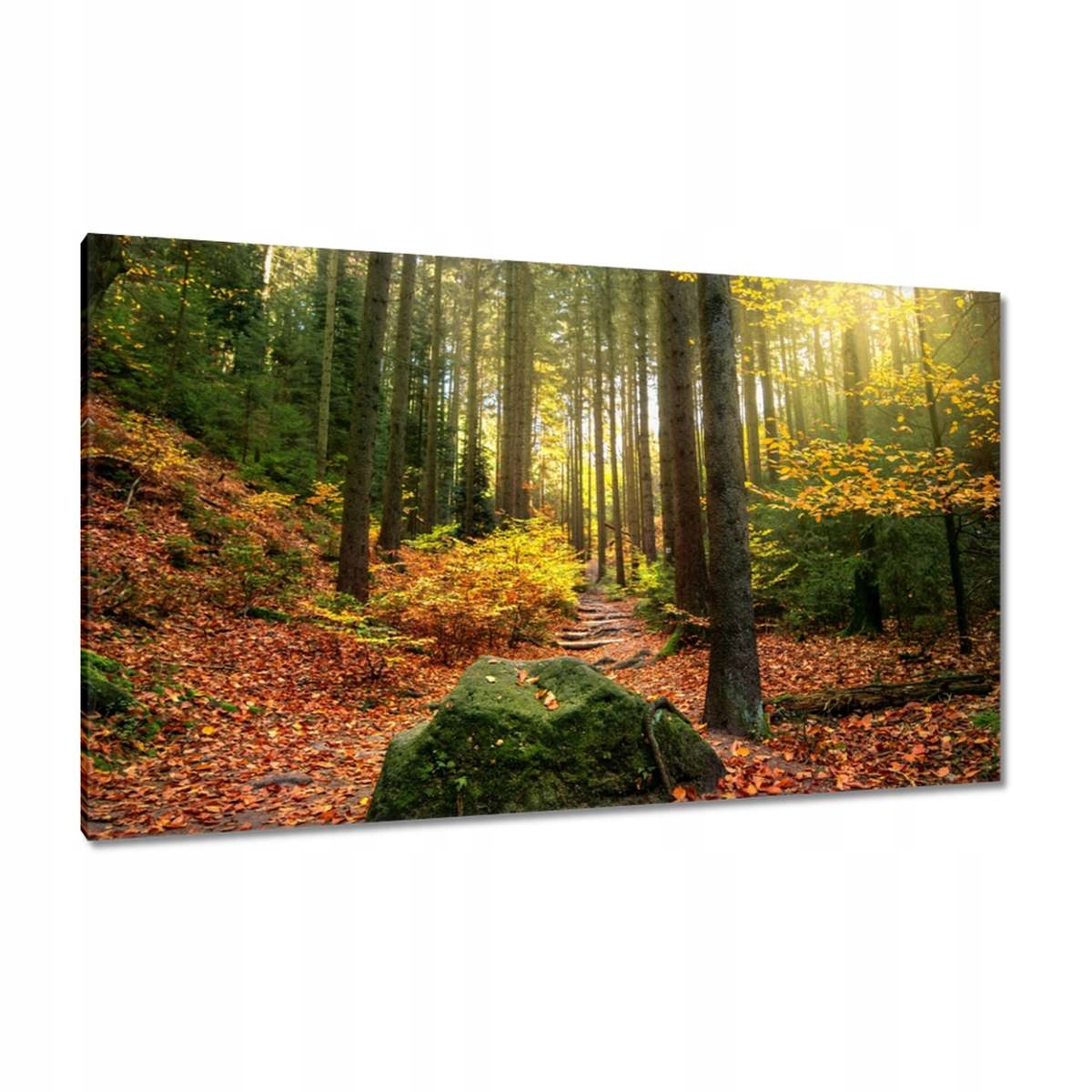 Obrazy 120x70 Krajina
